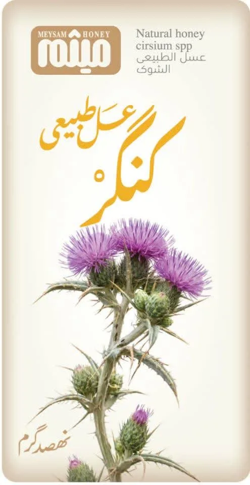 عسل کنگر میثم